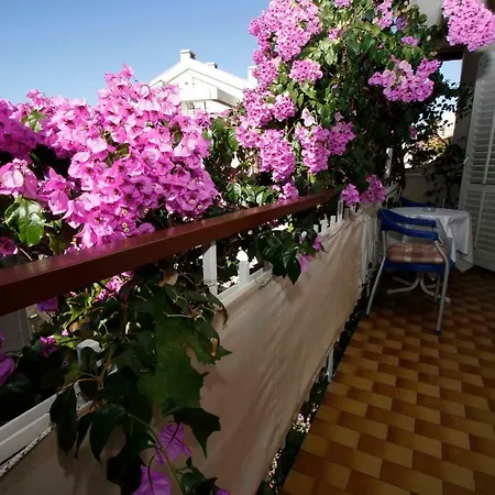 Grozdic Appartement *