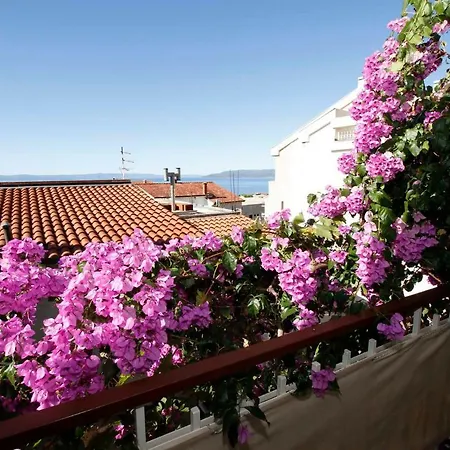 Grozdic * Makarska