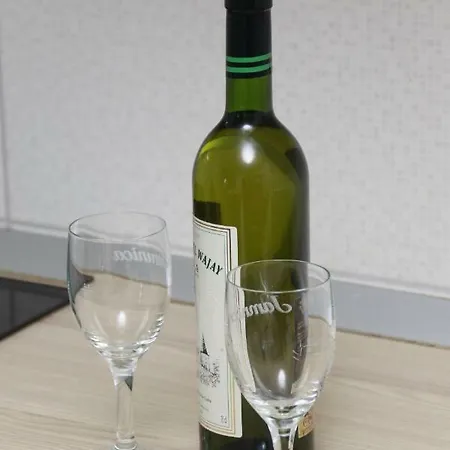 Grozdic 公寓 *